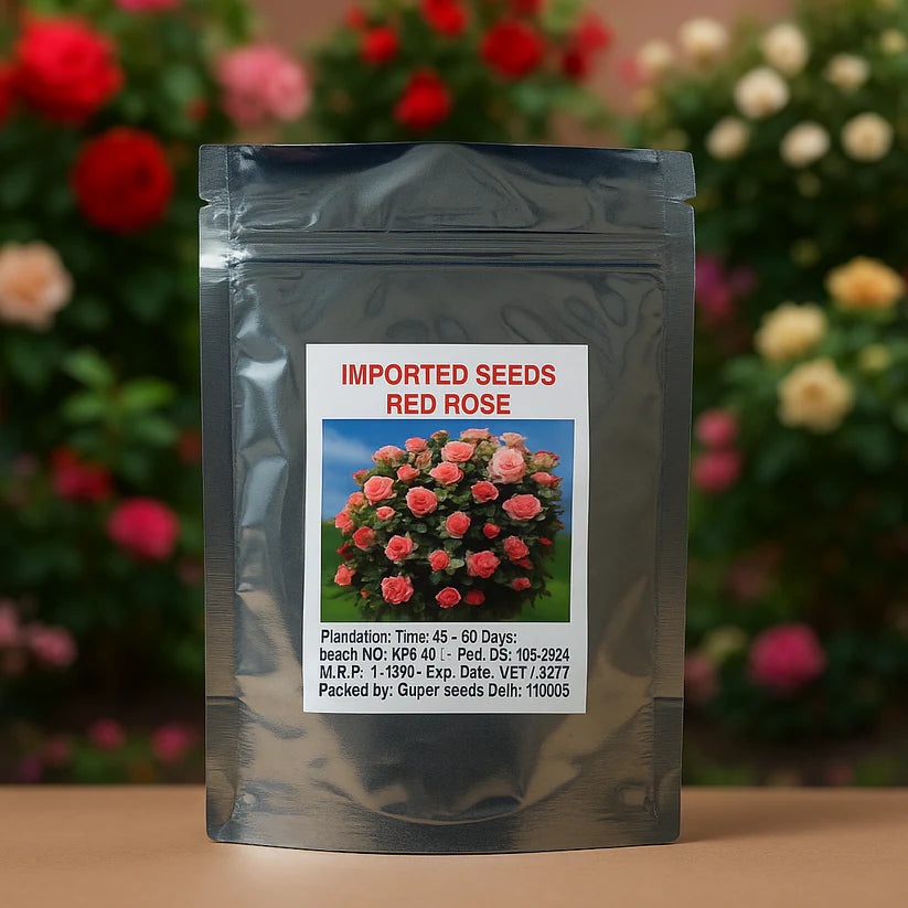 Exotic Climbing Rose Seeds – Imported from UK | Vibrant Colors