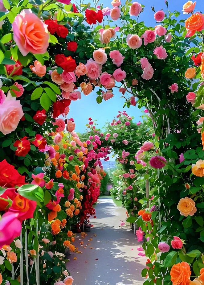 Exotic Climbing Rose Seeds – Imported from UK | Vibrant Colors