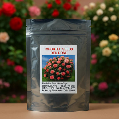 Exotic Climbing Rose Seeds – Imported from UK | Vibrant Colors